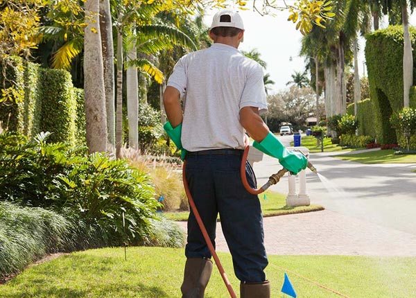 About Sumrall MS Pest Control